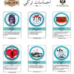 احساسات ترکی