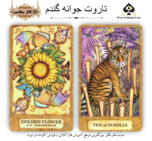 تاروت جوانه گندم