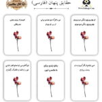 اوراکل حقایق پنهان فارسی