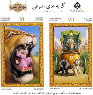 تاروت گربه های اشرفی