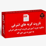 آموزش تاروت گربه های اشرفی