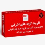 جزوه تاروت گربه های اشرفی
