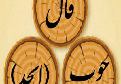 آموزش فال چوب