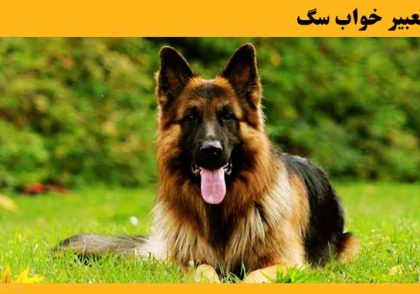 تعبیر خواب سگ