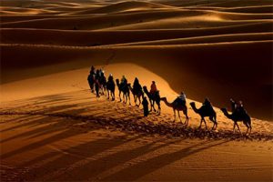  تعبیر خواب قافله