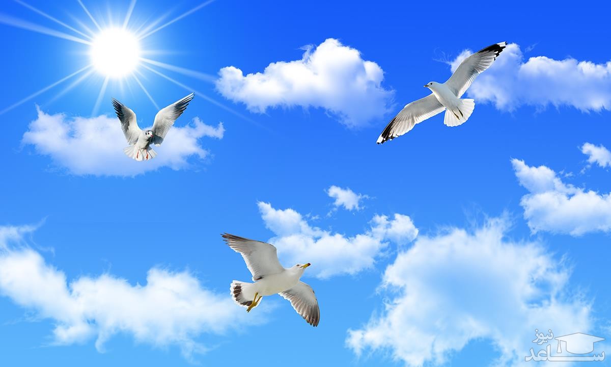 تعبیر خواب اسمان
