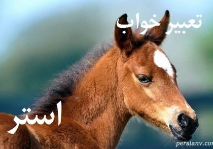 تعبیر خواب استر