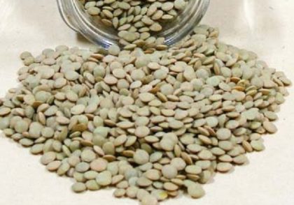 تعبیر خواب عدس