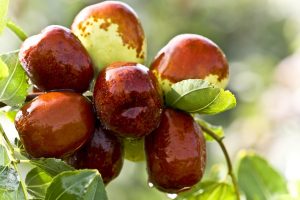 تعبیر خواب عناب