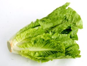 تعبیر خواب کاهو