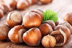 تعبیر خواب فندق