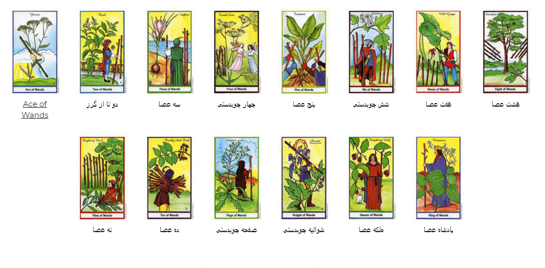 کارت تاروت دک گیاهی