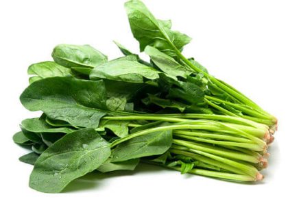 تعبیر خواب اسفناج - سبزی