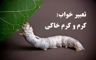 دیدن کرم در خواب چه معنایی دارد
