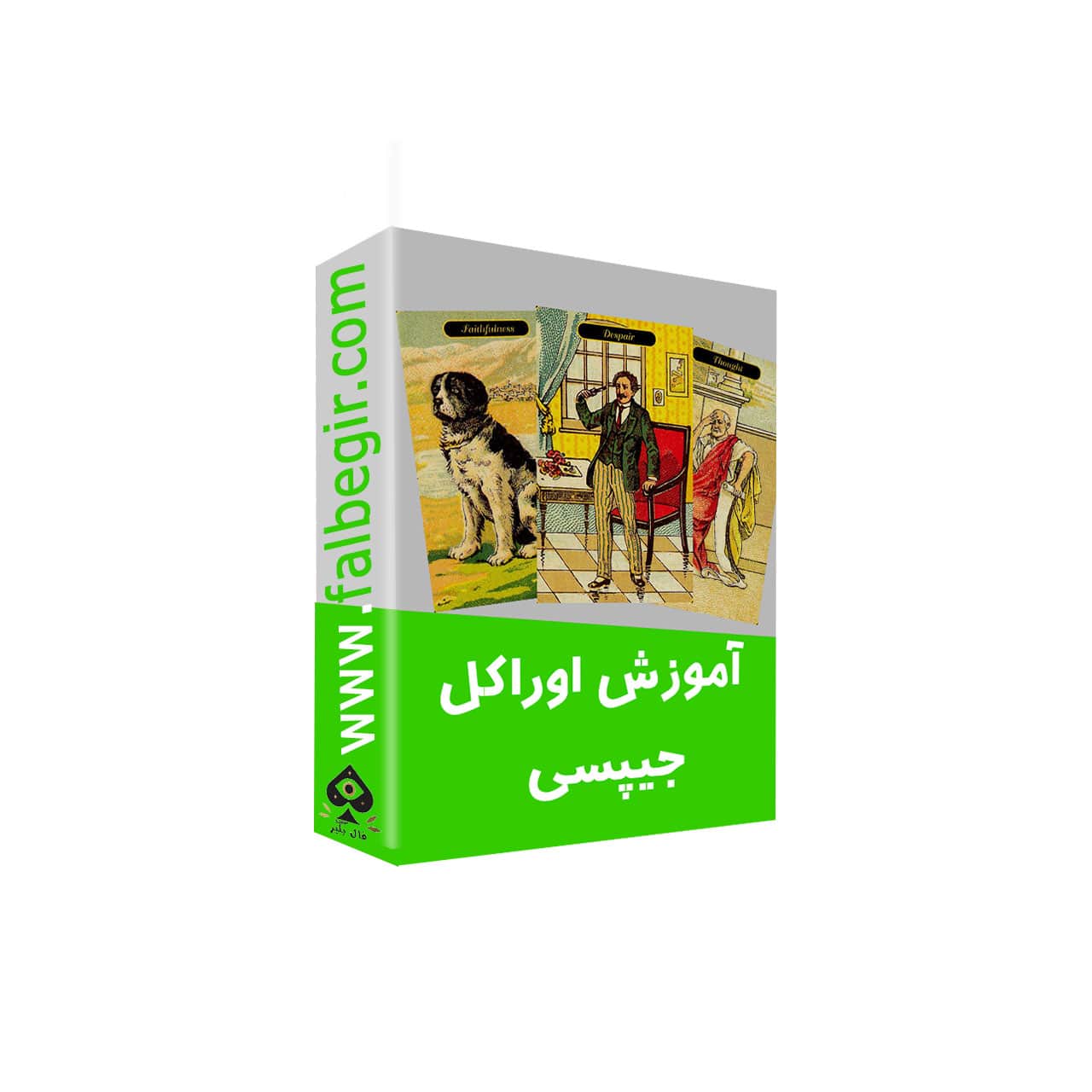 آموزش اوراکل جیپسی