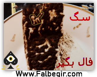 آموزش فال قهوه سگ